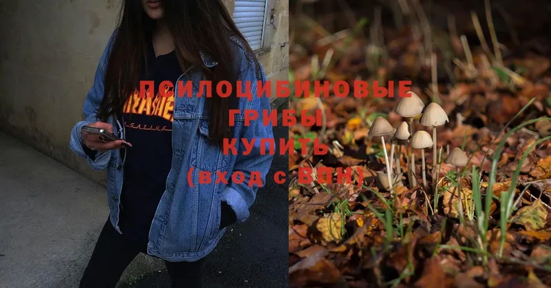 Псилоцибиновые грибы MAGIC MUSHROOMS  где купить   Беломорск 